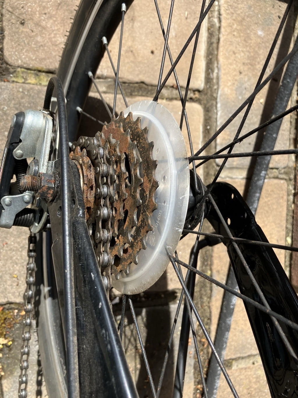 Folding Bike