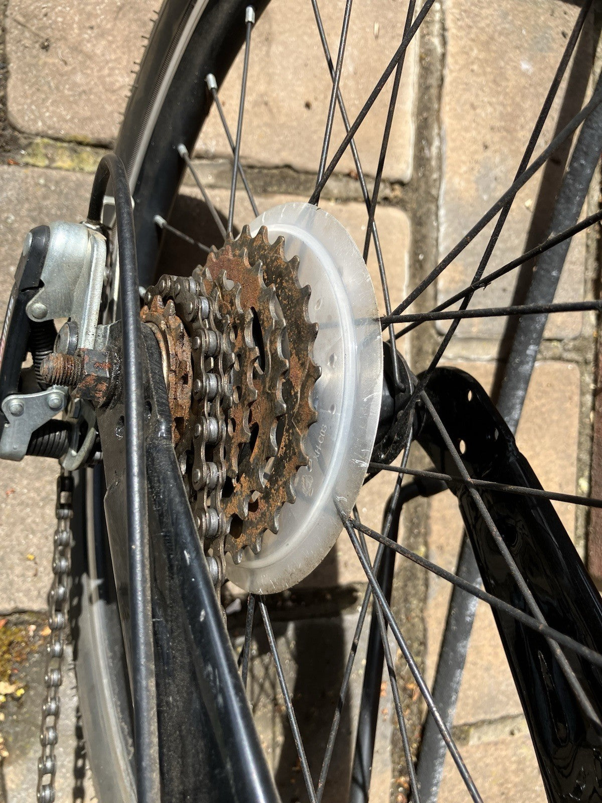 Folding Bike