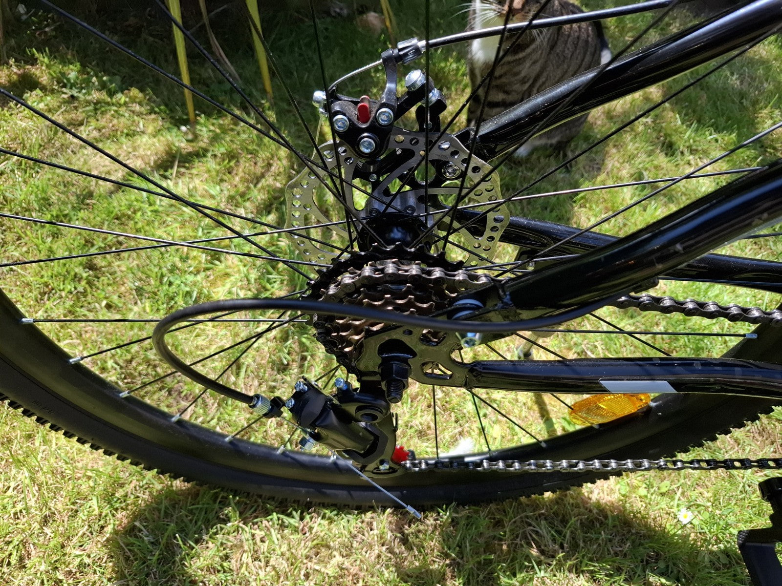Folding Bicycle 26 Inch Bikes for youth 21 Speed