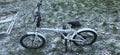 Adult Cross Crf300 Bike