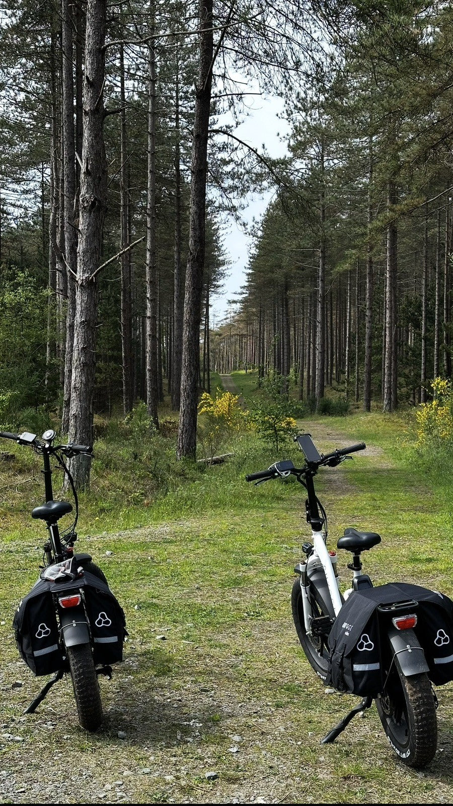 Pair of Hygge Vester Folding Electric Bikes 2025 Model. Delivery Possible.
