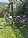 Jorvik Adult Tricycle Foldable 3 Wheeler Big Basket Black Purple Adjustable Size