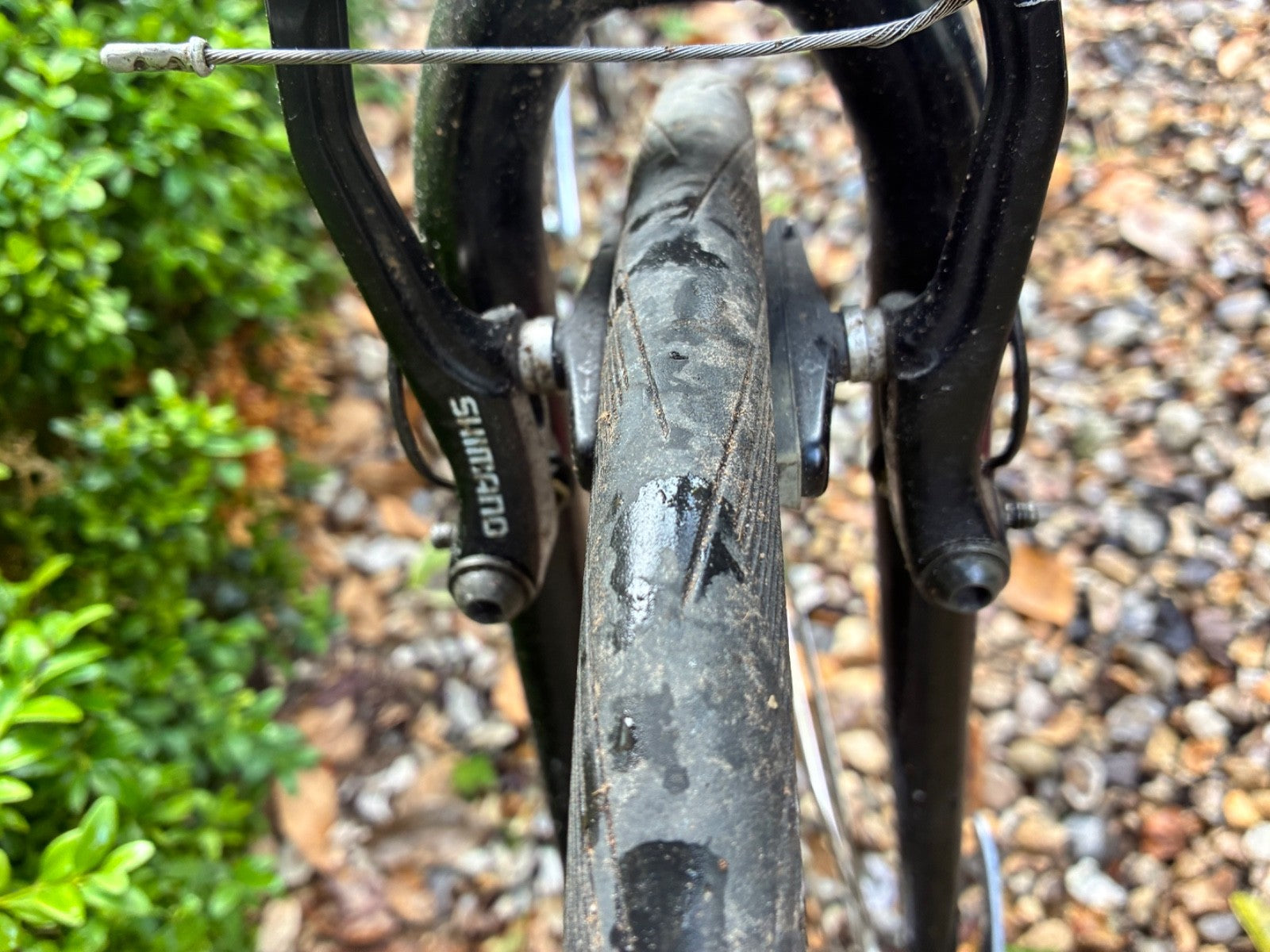 Airnimal Joey Folding and very fast commuting bike Bike