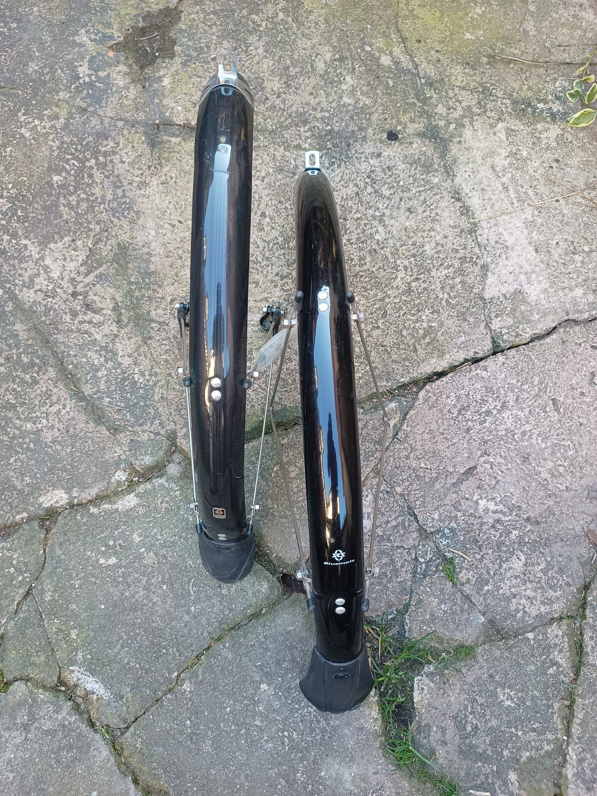 Airnimal Chameleon folding bike Shimano Ultegra