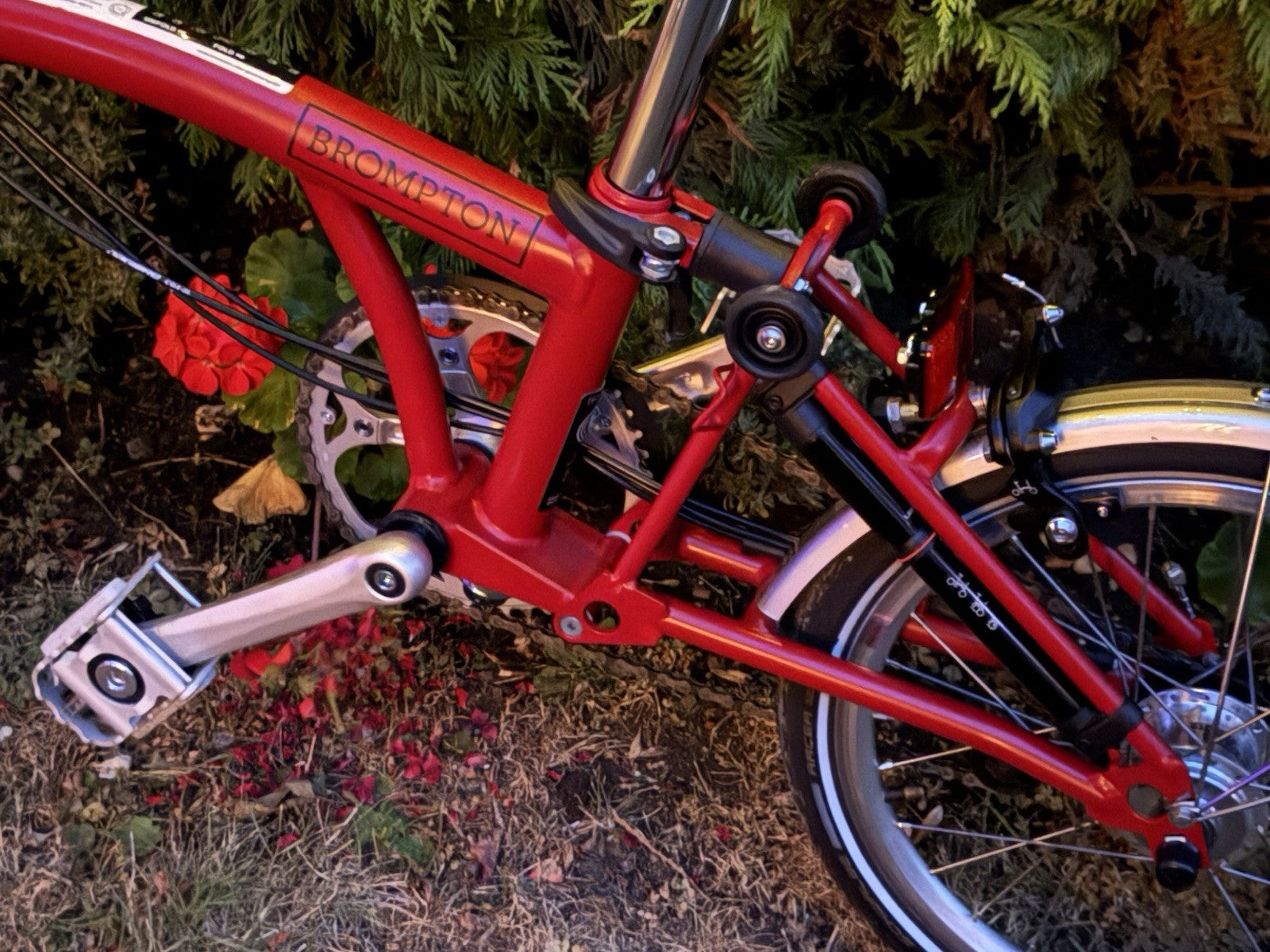Brompton C Line Explore - House Red. High Handlebars