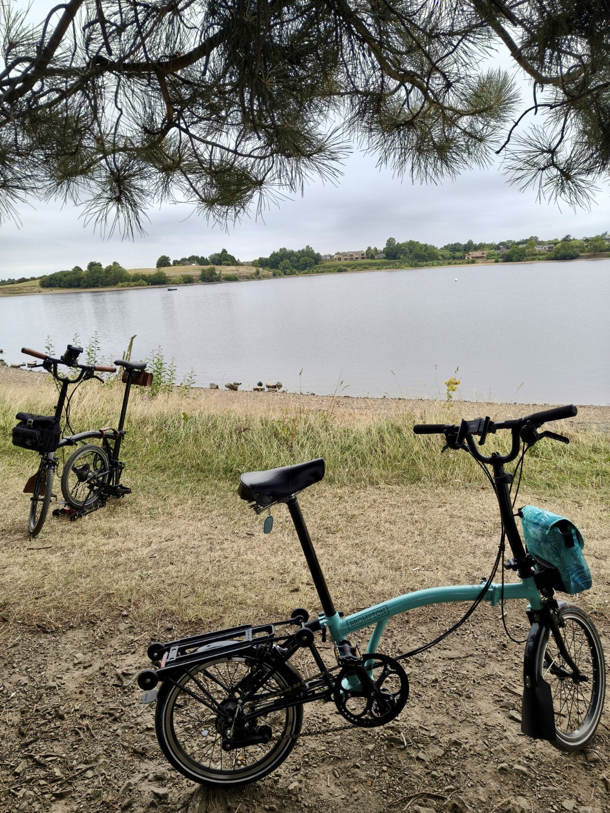 Brompton Folding Bike 16 in Blue/Black, Rear Rack, Mudguards, Bell, Reflectors