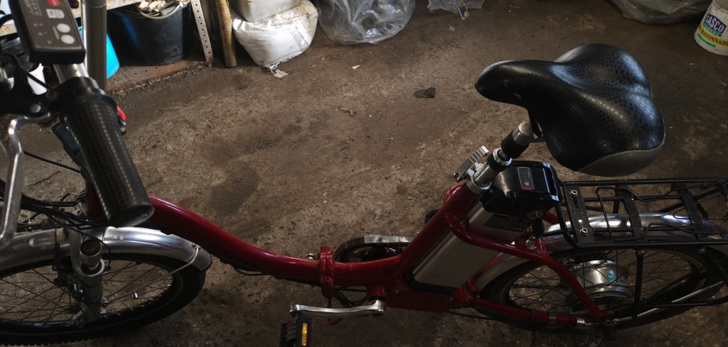 PRO-RIDER 20in E-Folding Bike 250W 36V 25km/h red
