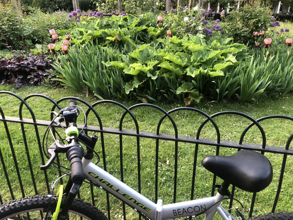 Challenge Beacon Folding Mountain bike