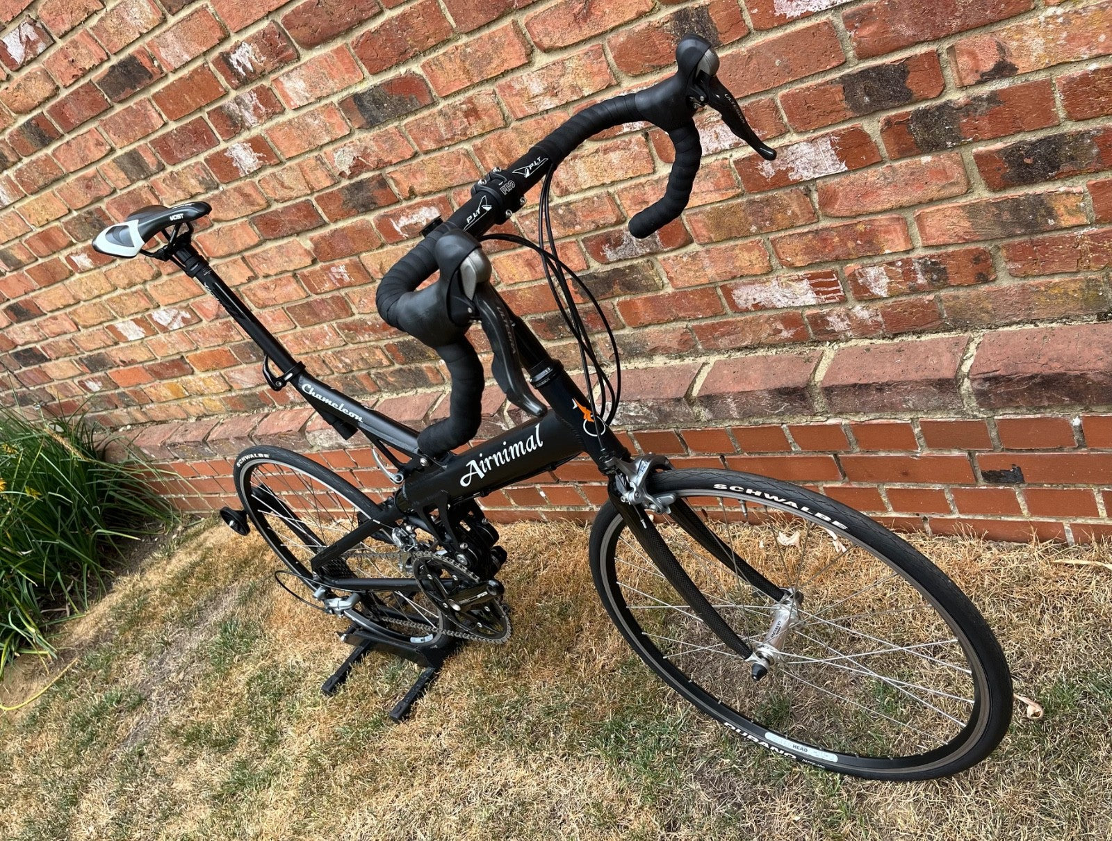 Airnimal Chameleon Ultra Folding Bike, 56cm Black - Fantastic Condition!