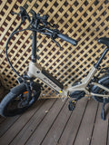 Engwe L 20 3.0 PRO