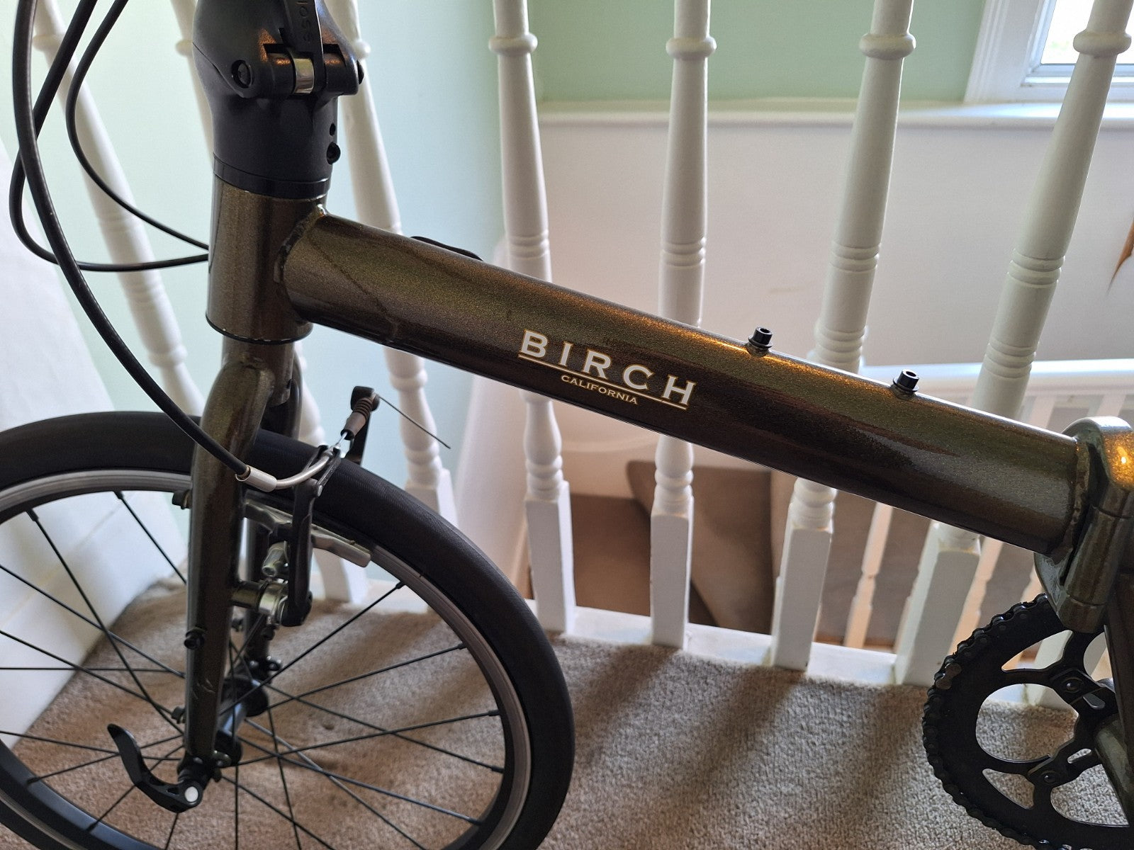 Birch California Folding Bike