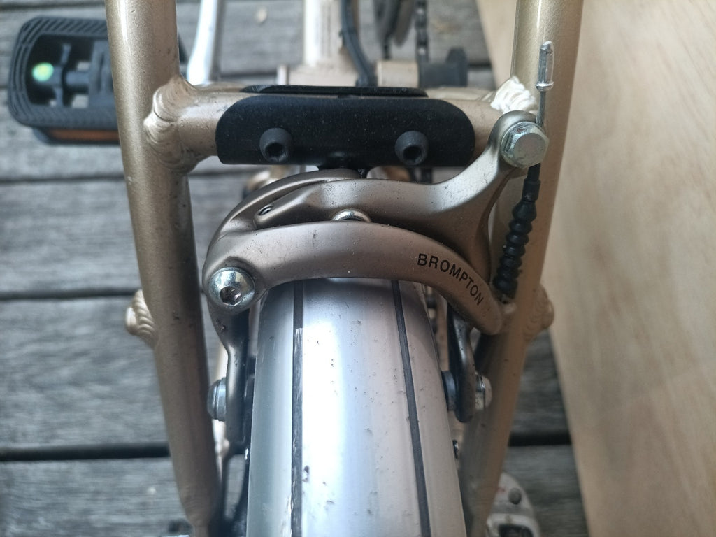 Computer Bike Carnielli Bigfish folding bike