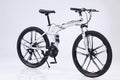 24 Inch White Foldable Bike, 24 Speed, 10 Knives Rim, Front suspension 329-331
