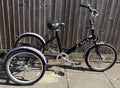 Pashley Tri-1 Adult Foldable Tricycle Trike - Gears Not Working