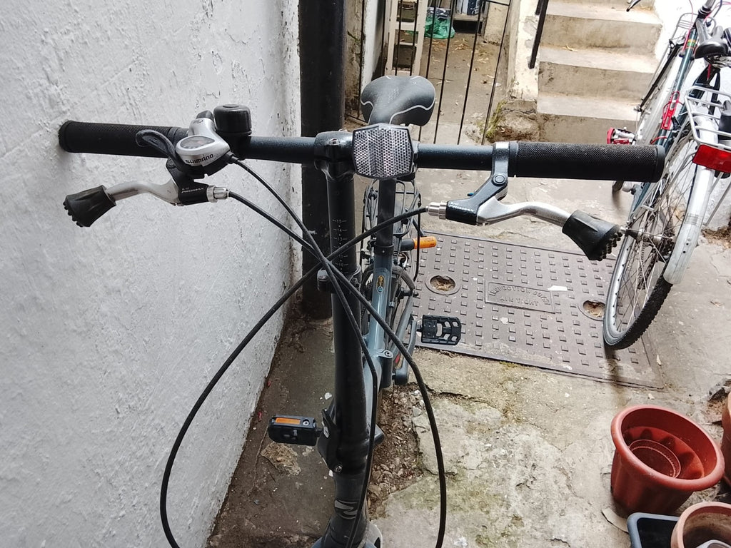 Dawes Folding Bike