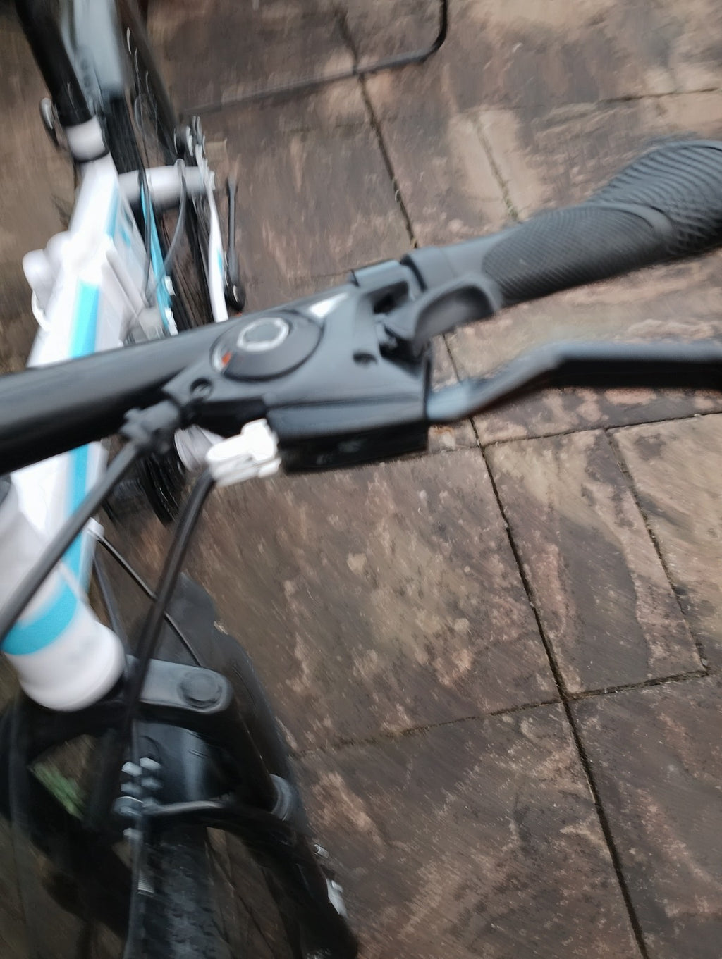 21 Speed 26 Inch Mountain Bike, Foldable Mountain Bike