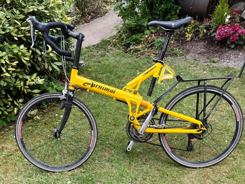 Airnimal Chameleon  Bike 24" Wheels. Good for travel - includes suitcase
