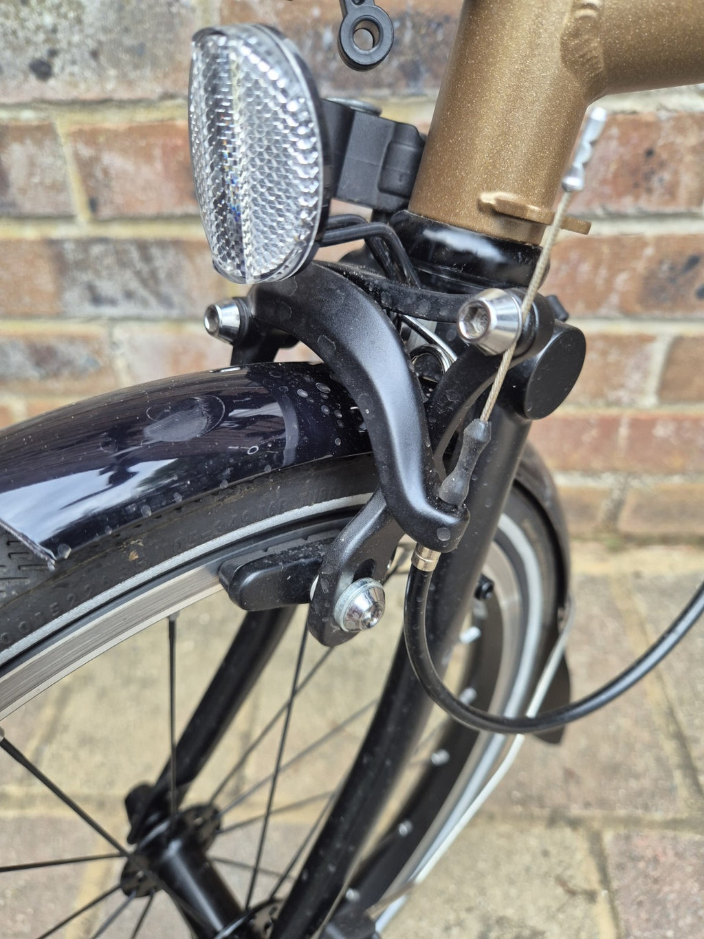 Brompton p line 12 speed