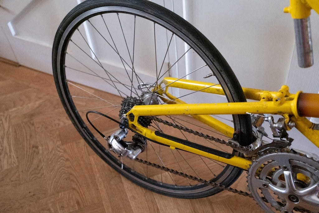 Airnimal Chameleon Folding Bike