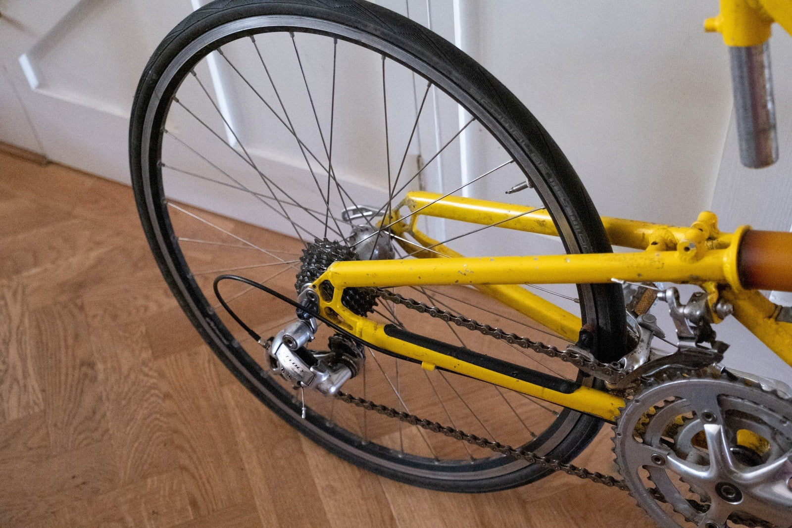 Airnimal Chameleon Folding Bike