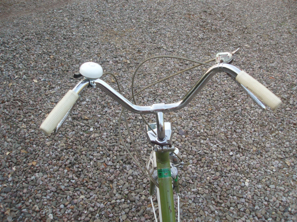 Bianchi Aquiletta folding bicycle