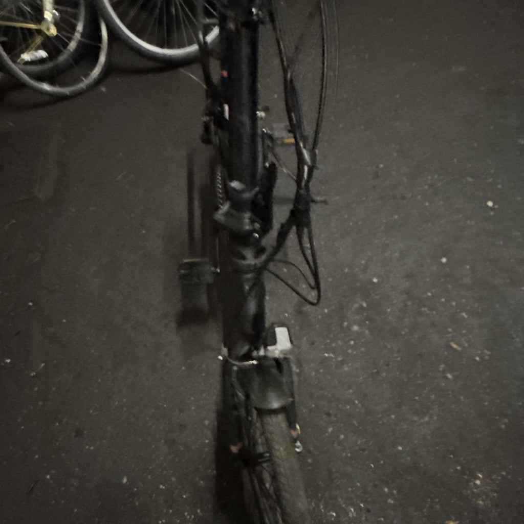 Raleigh Folding Bike Black 20 in Wheels M Frame V-Brakes Flat Bar Adj Seat