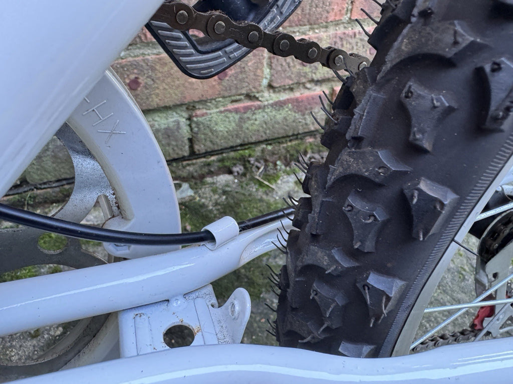 Ecosmo Folding Bike 20-inch Wheels
