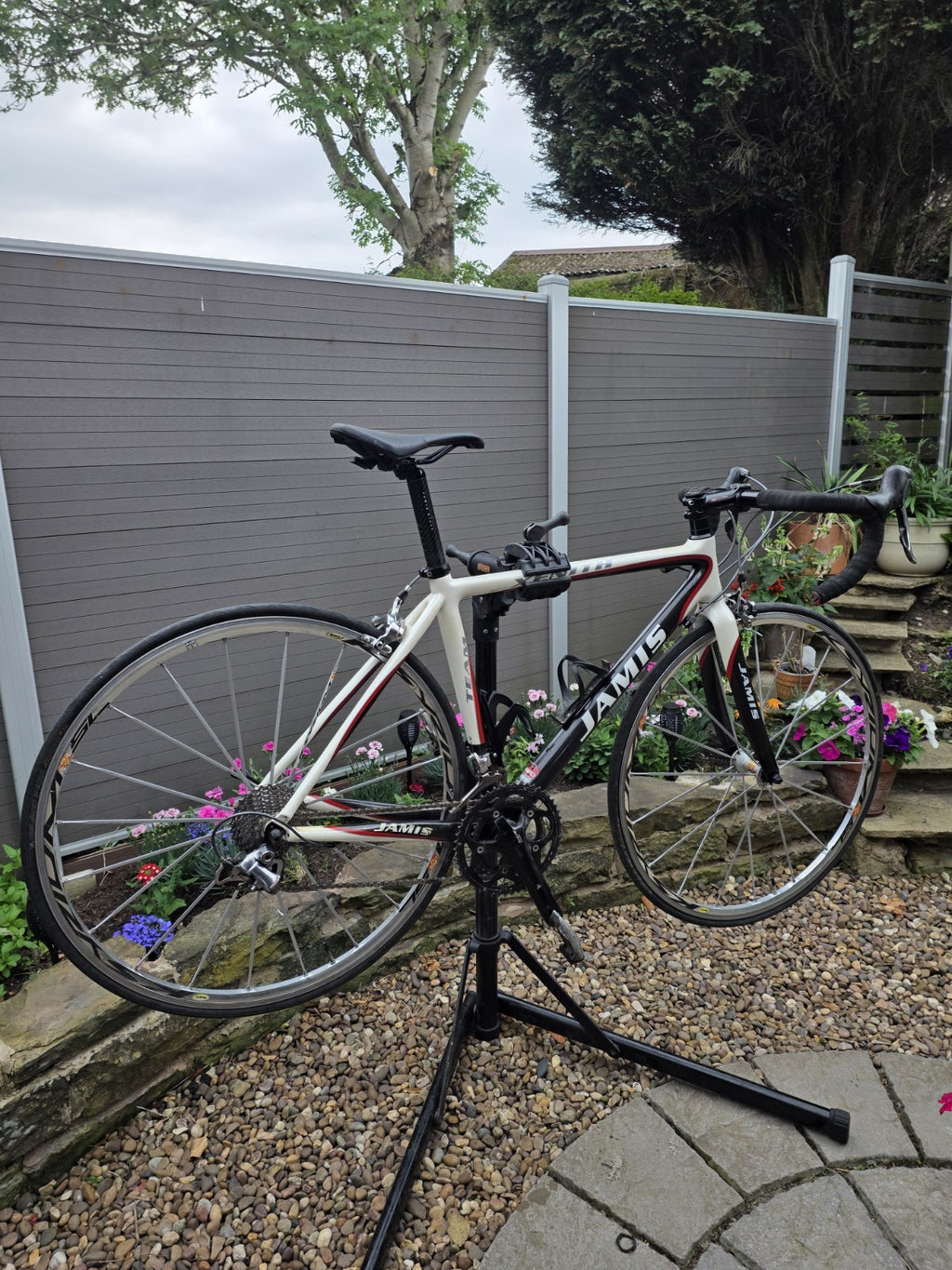 Jamis Xenith Team Carbon Road Bike 52cm