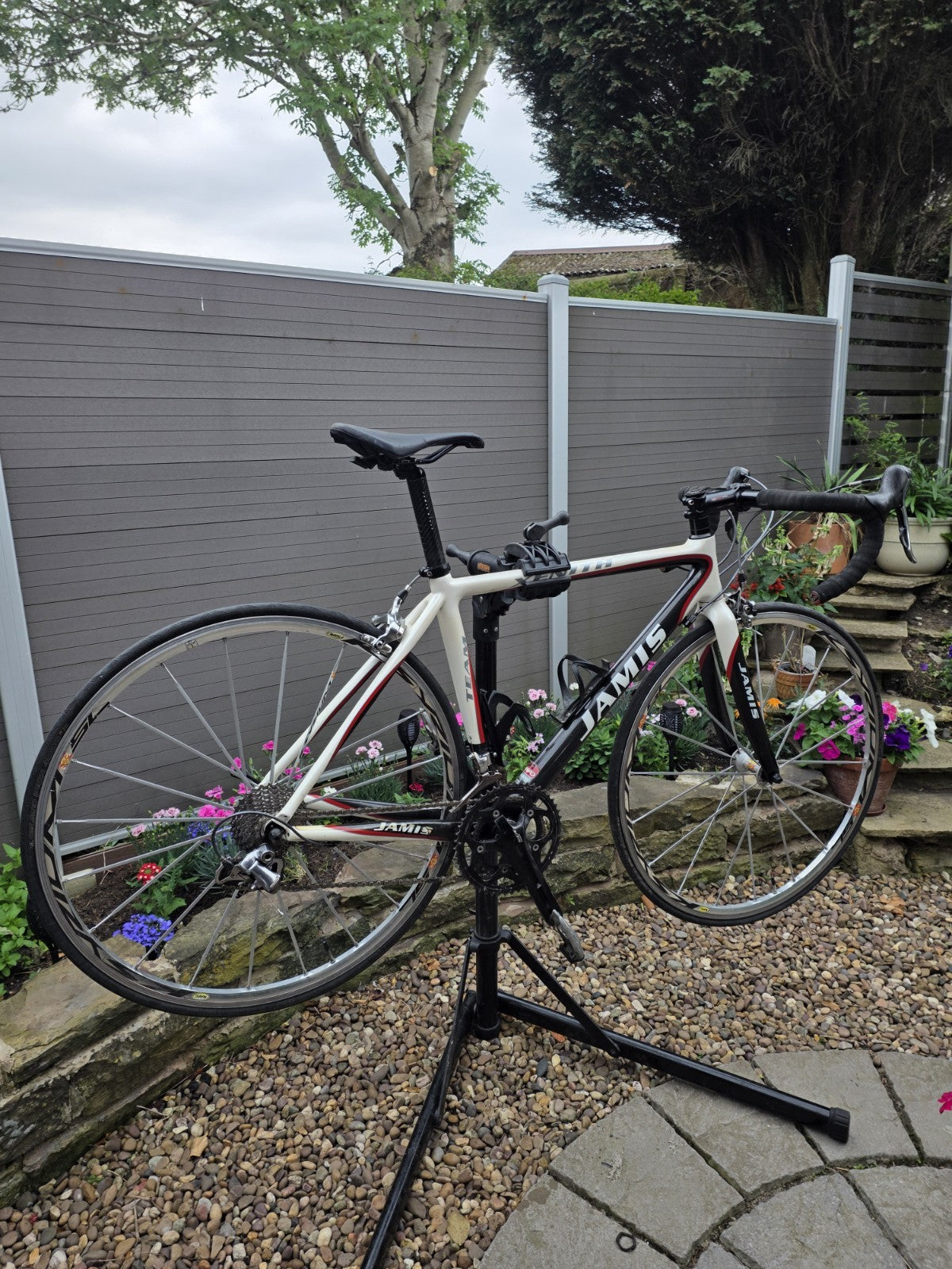 Jamis Xenith Team Carbon Road Bike 52cm