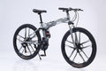 24 Inch Silver Foldable Bike, 24 Speed, 10 Knives Rim, Front suspension 334-336