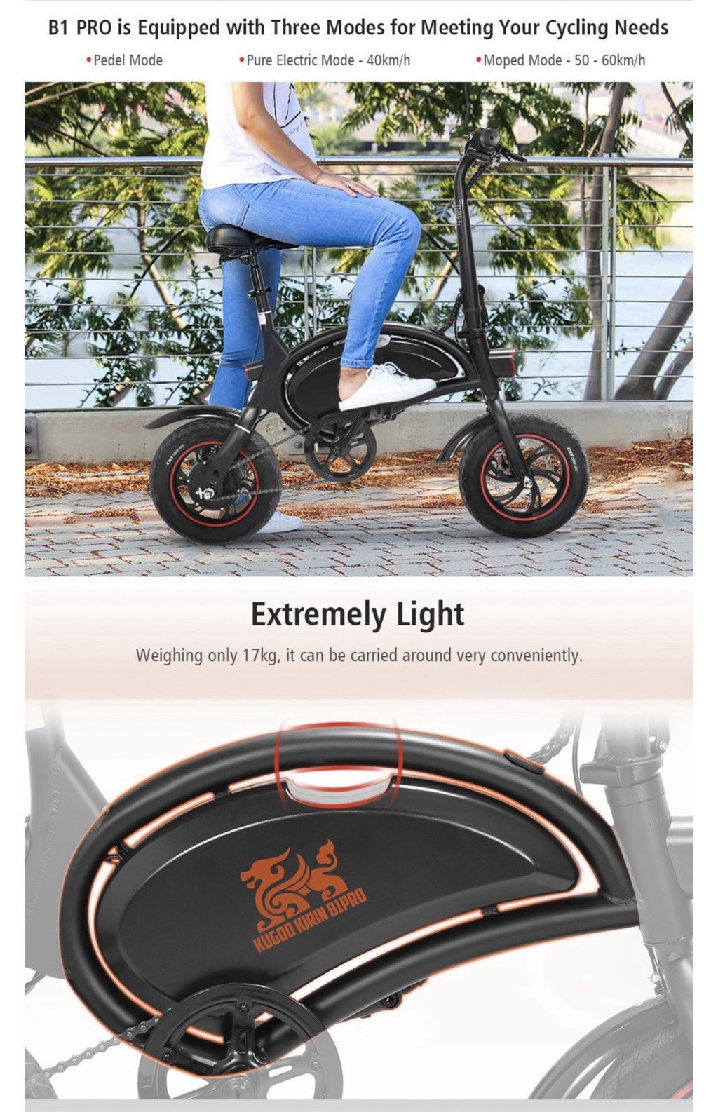 Kugoo Kirin V1 bike, also known as the B2 model. Dolphin-shaped frame.