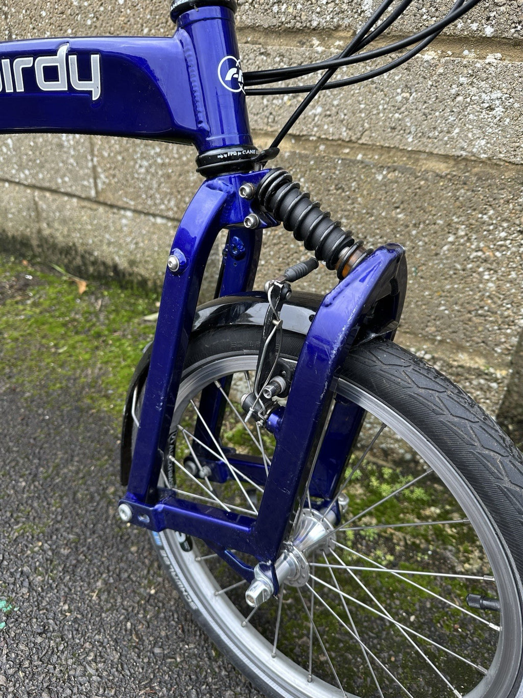 Riese And Muller Birdy Rohloff 14 Speed Folding Bike