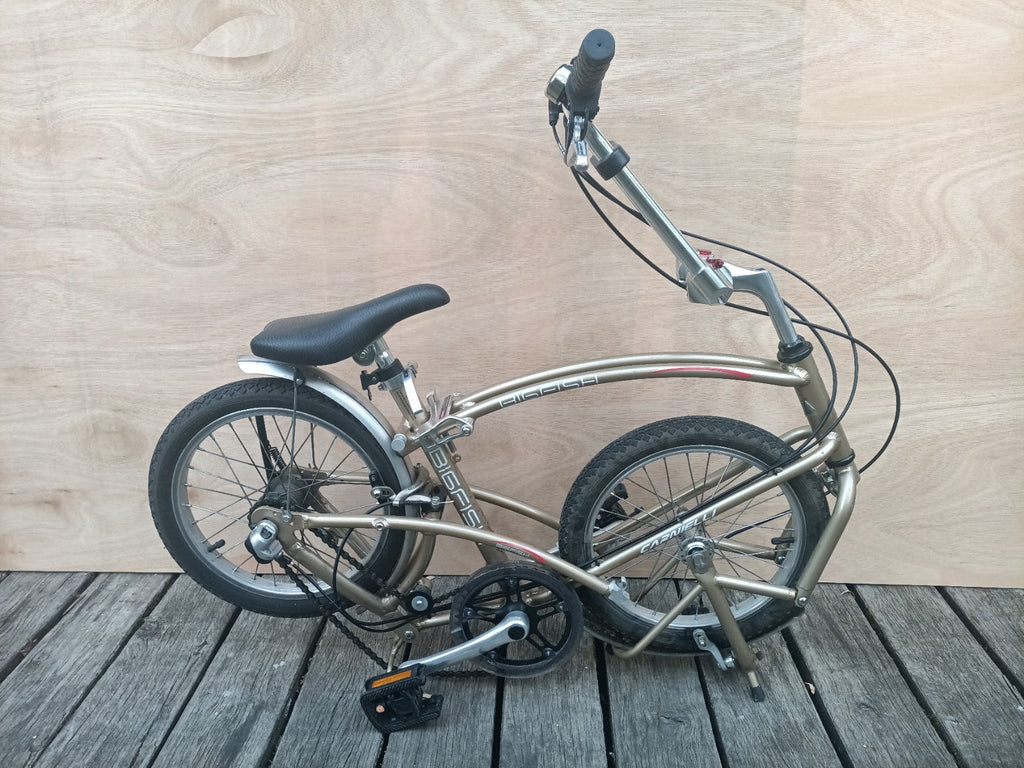 Computer Bike Carnielli Bigfish folding bike