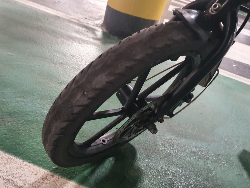 Fiido D2 Bicycle