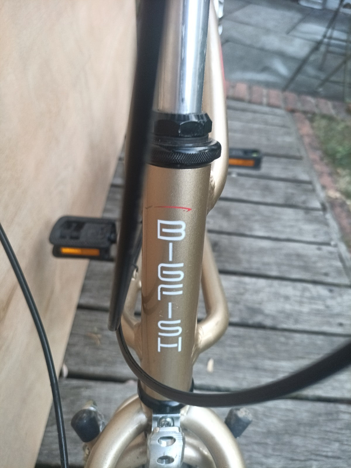 Computer Bike Carnielli Bigfish folding bike