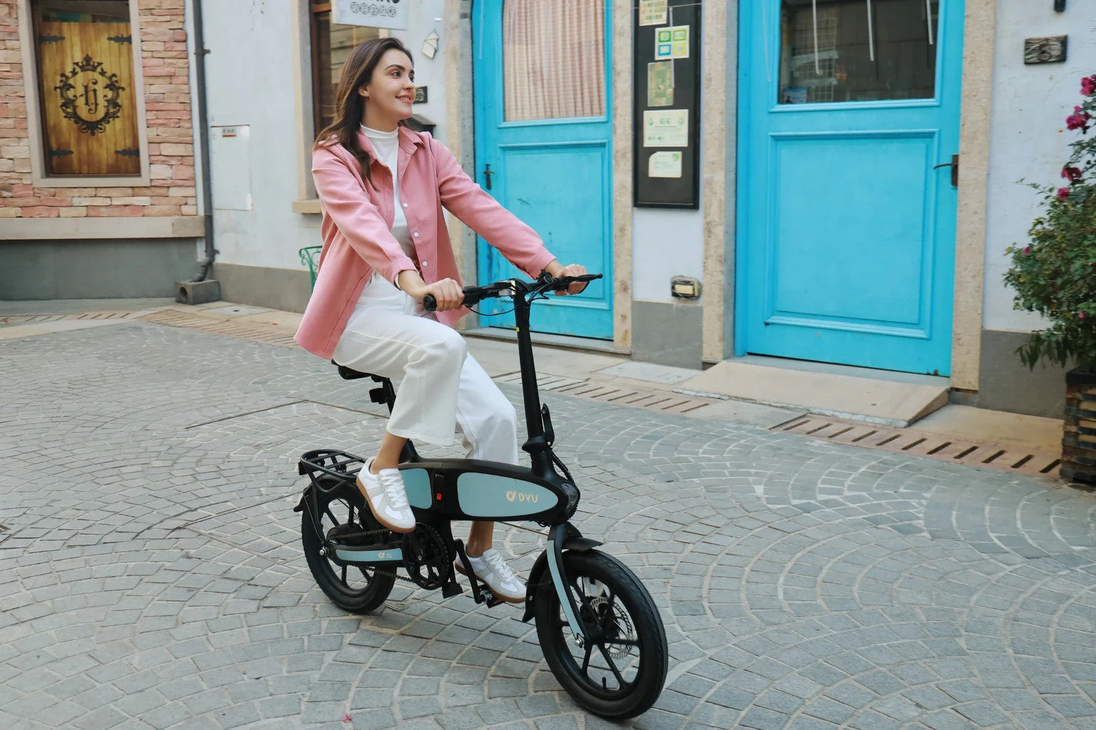16" All Terrain 2.5" Folding Magnesium Alloy Bicycle bike, 250W,48V 7.5Ah-C2