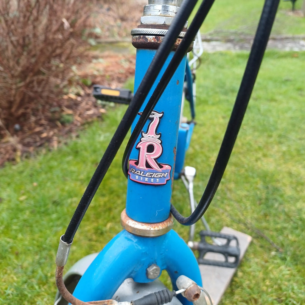 Raleigh Folding 'Ikea' Bike, 6 Speed