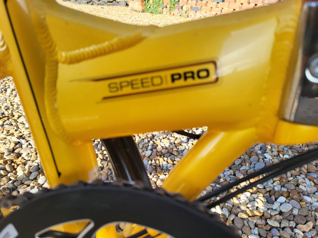 Dahon Speed Pro TT Mango Folding bike.