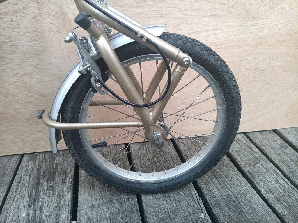 Computer Bike Carnielli Bigfish folding bike
