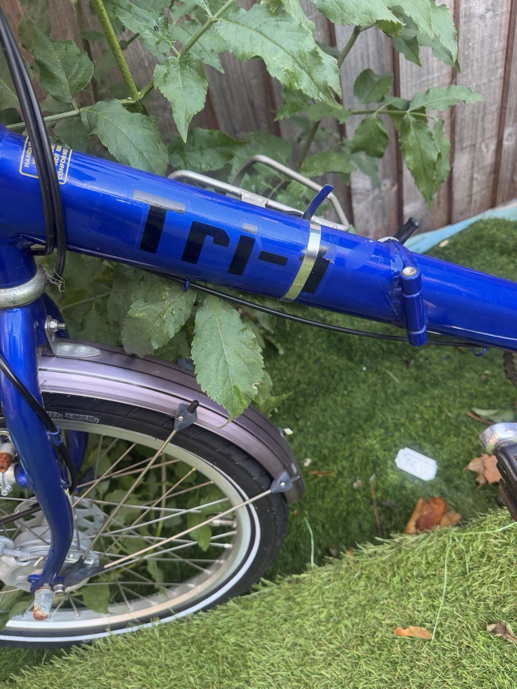 PASHLEY - Tri-1 Folding Adult Trike Burgundy Red