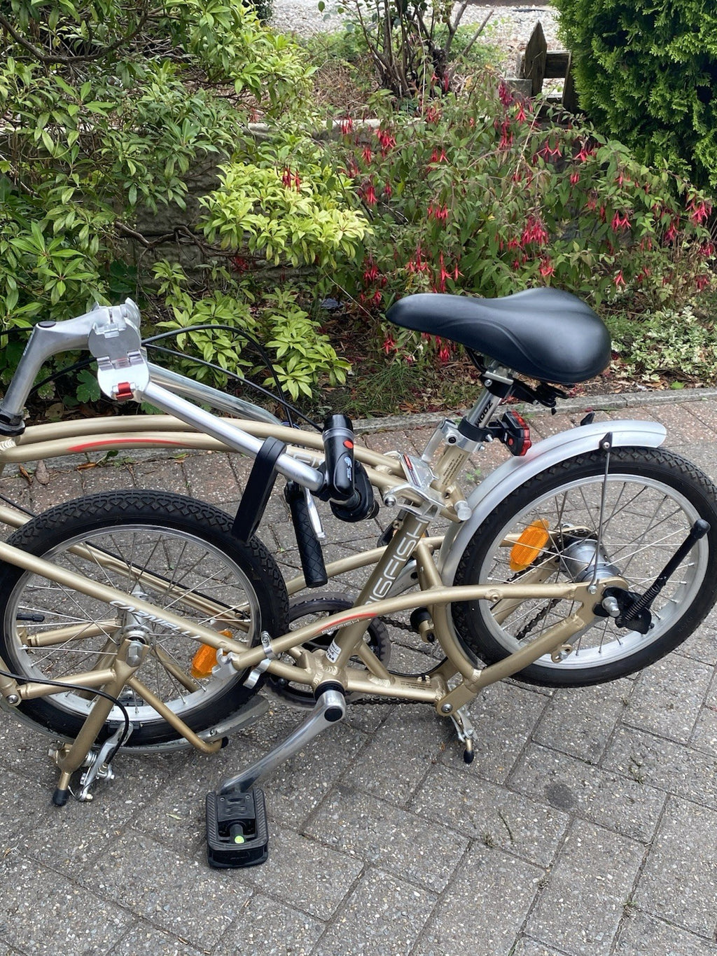 Bigfish Carnelli folding bike