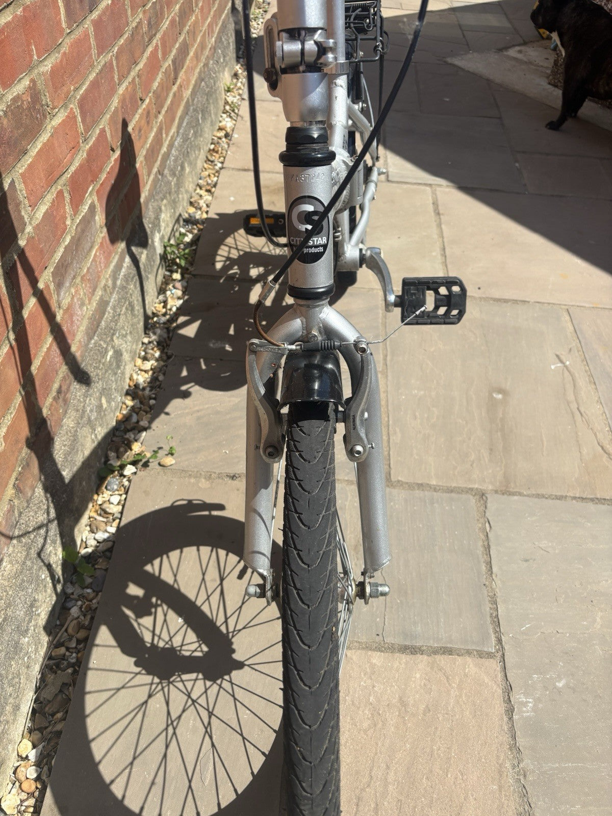 City Star Folding Bike