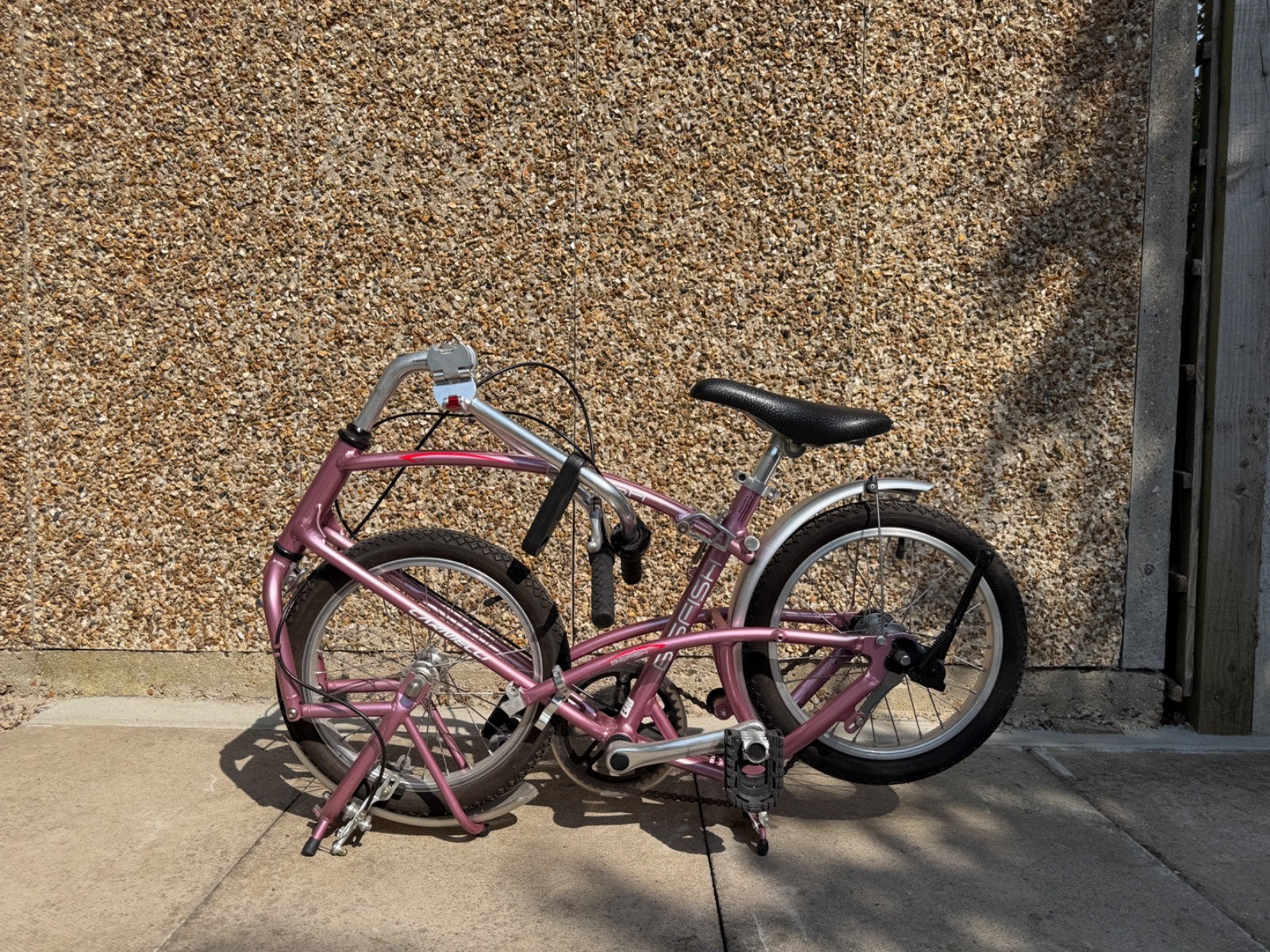 Big Fish Carnelli Folding bike