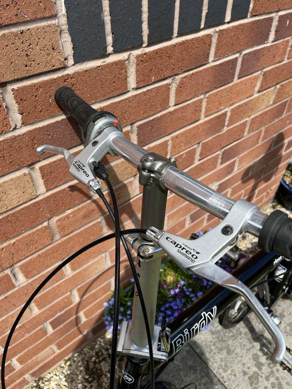 Birdy Folding Bike