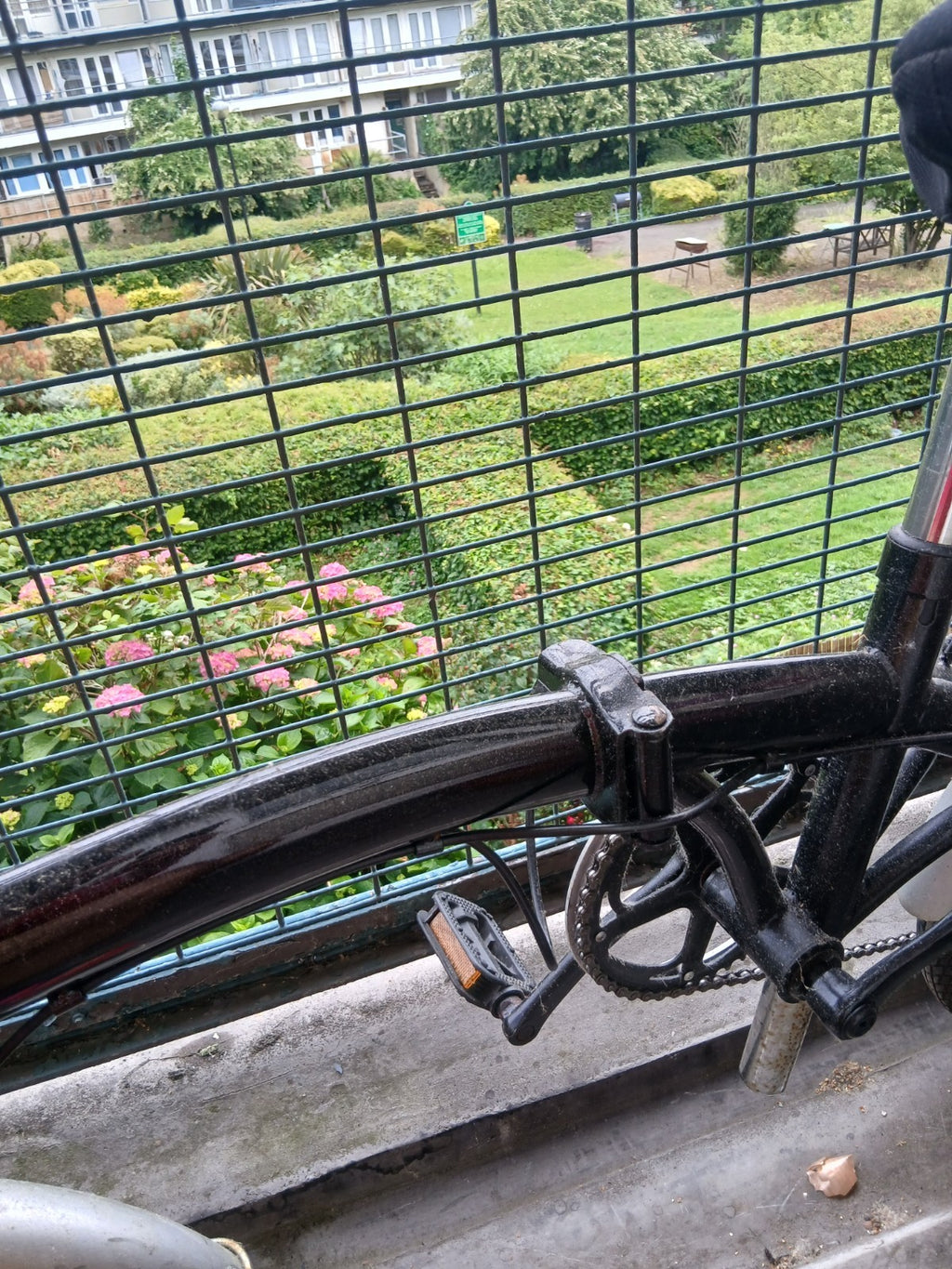folding bike