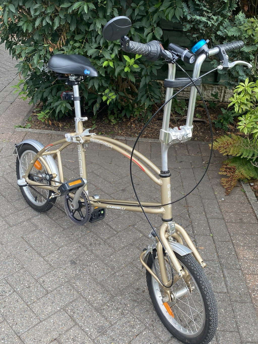 Bigfish Carnelli folding bike
