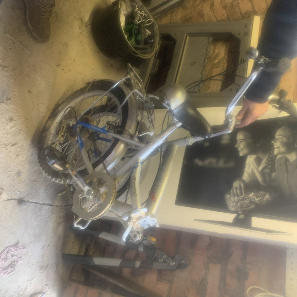 2 Peddle Bikes (One Is A Folding Bike) In Good Condition