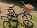 Paisley Adult Folding Fixed Wheel Trike Bike