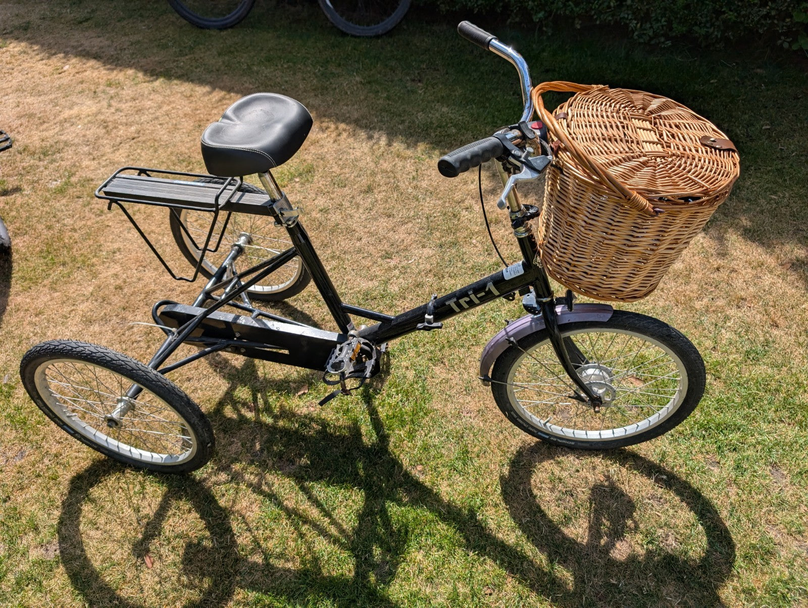 Paisley Adult Folding Fixed Wheel Trike Bike