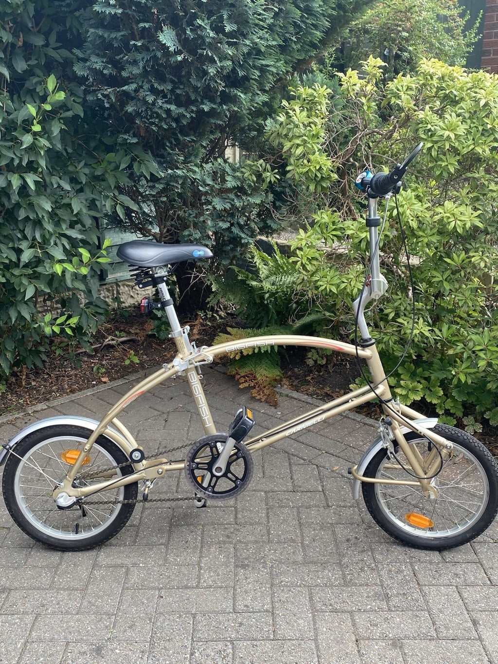 Bigfish Carnelli 20in Folding bike